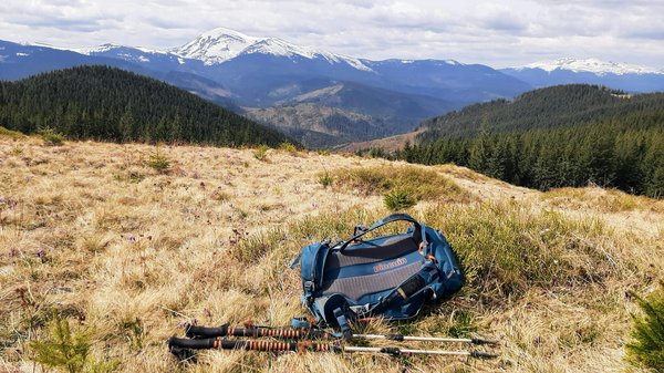 Quels sont les meilleurs conseils pour camper en zone de mangroves en période de pluie?