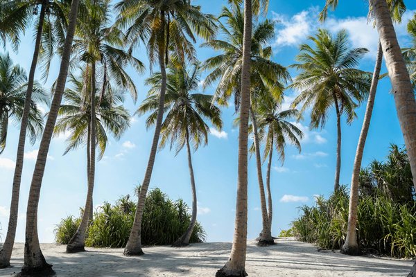 Quels sont les meilleurs circuits pour explorer les temples antiques de l'Inde?