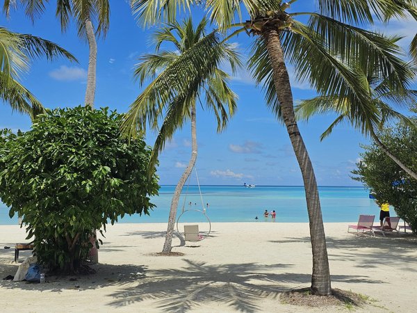 Comment découvrir les traditions de la musique samba au Brésil ?