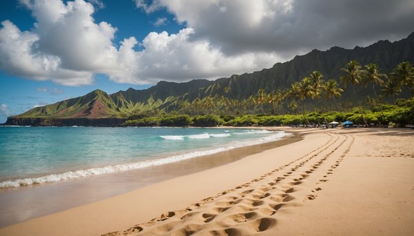 Explore les trésors cachés d'hawaï : authenticité sans foule